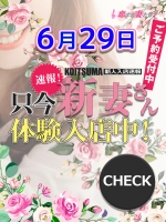 柊はるね