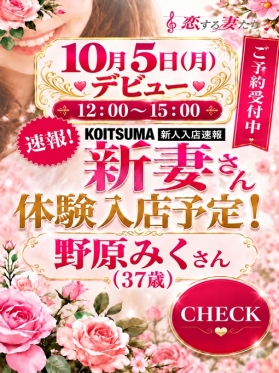 野原みく